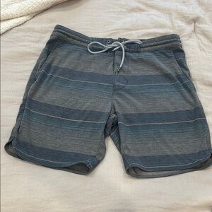 Vissla Men’s Gray and Blue Striped Shorts – Size Medium
